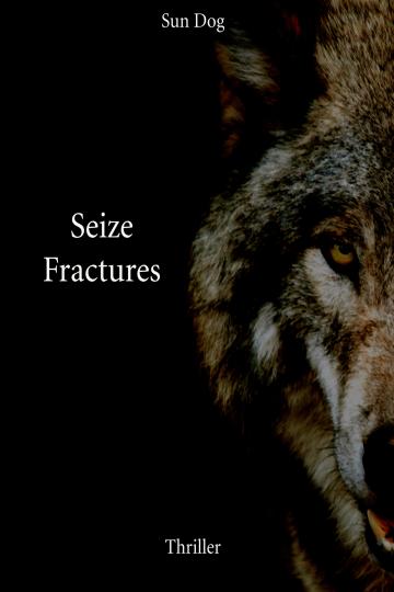seize-fractures-french-edition_254829.jpg