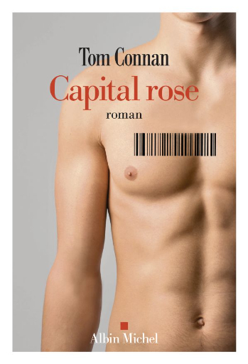 capital-rose_272285.jpg
